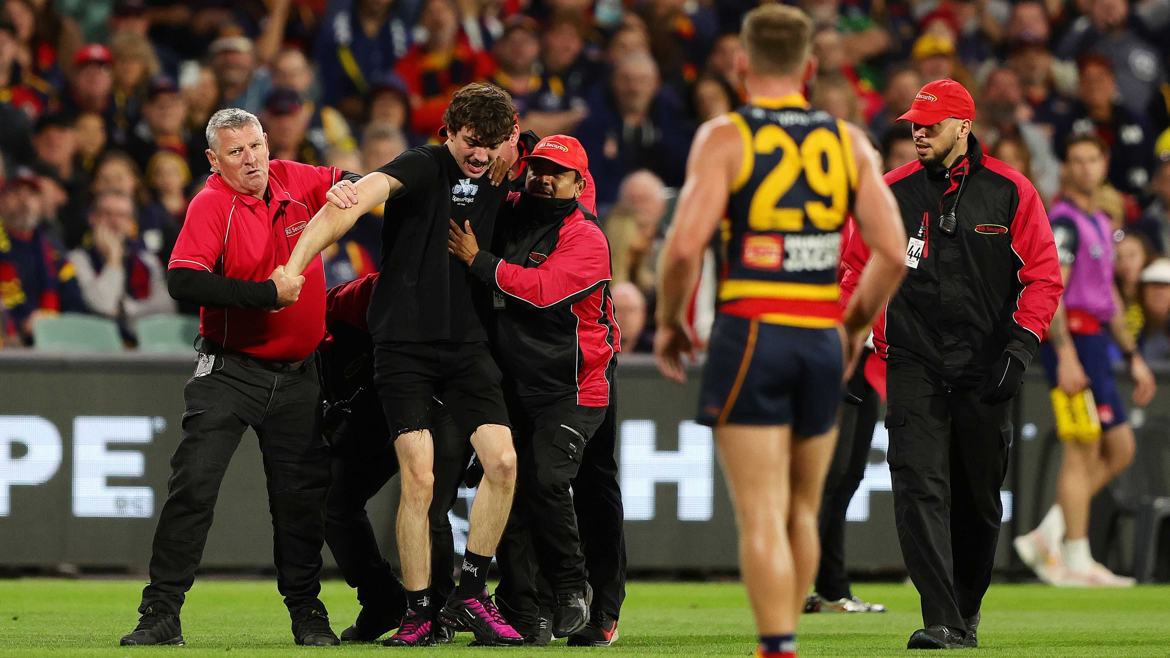 A pitch Invader is removed from Adelaide Oval.