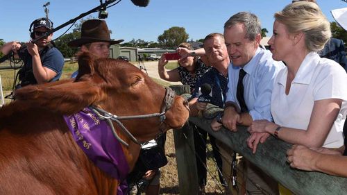 Labor's the country party: Bill Shorten