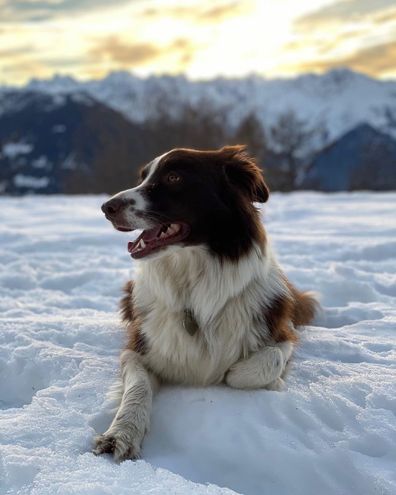 Princess Mary shares new photos of her family from the ski fields in Switzerland