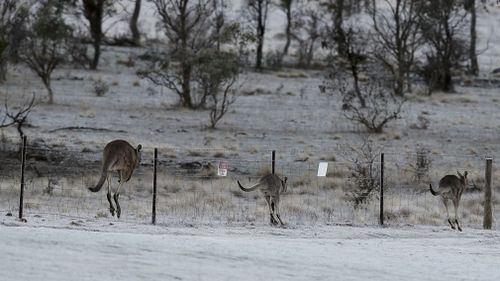 190507 Weather forecast Australia cold snap multiple states News BOM