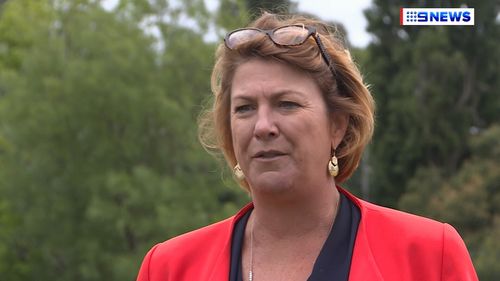 NSW Roads Minister Melinda Pavey is hoping regional motorists get the message