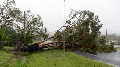 North Queensland could be hit by first cyclone of the season this weekend