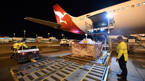 Pallets of vaccines being unloaded off Qantas flight QF110 from Darwin , which came from the UK.