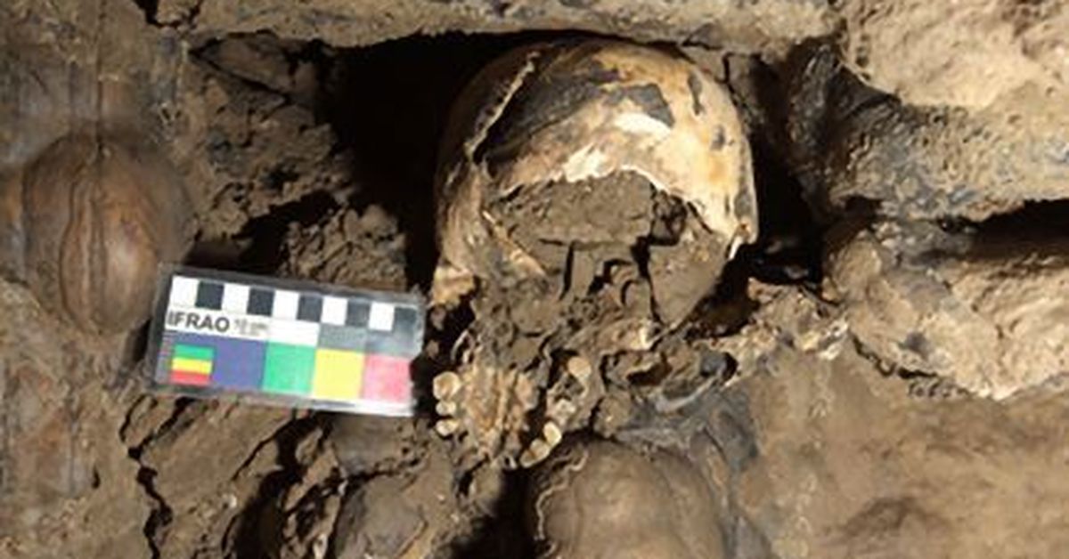 Strange reason decapitated head ended up in italian cave