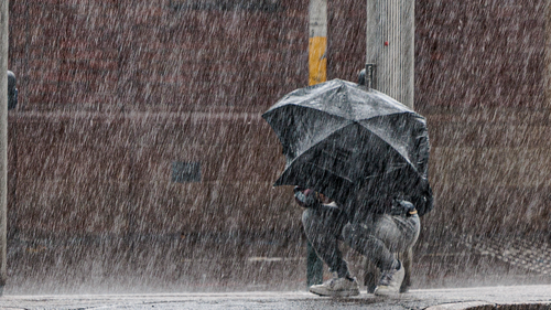 A resident sheltered under an umbrella after heavy rain hit Sydney CBD on 29 September, 2022. Photo: Brook Mitchell