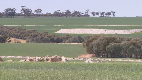 Alleged Kellerberrin gunman Lachlan Bowles was later found about 20 kilometres outside of Kellerberrin in a field five-and-a-half hours into the manhunt.