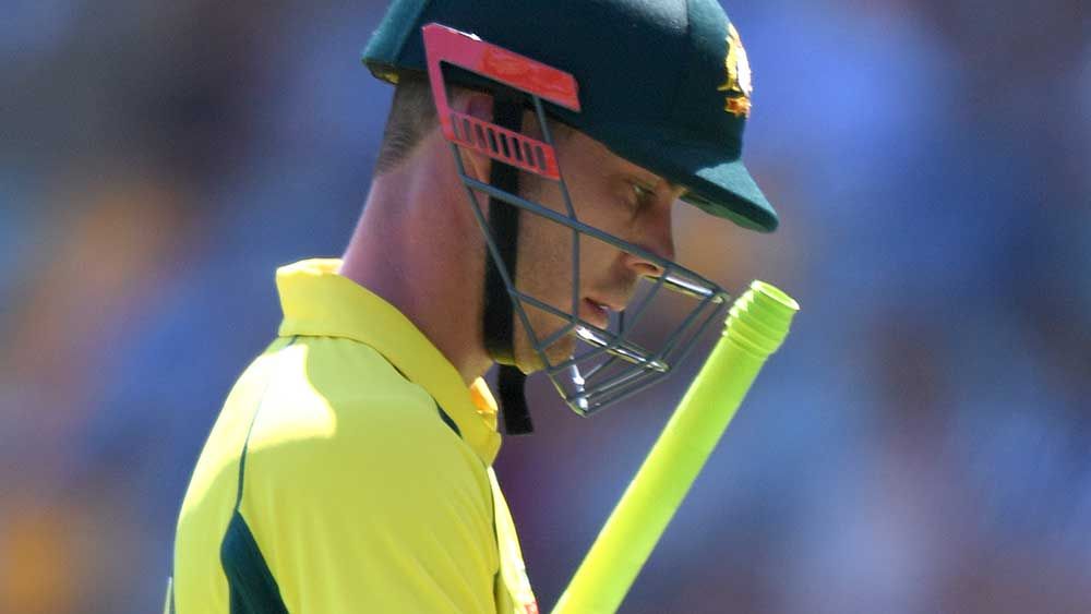 'Lynnsanity' fails to deliver on ODI debut