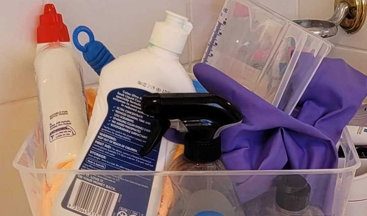 22 Household Cleaning Essentials You Need Under Your Sink