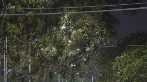 P﻿arts of Victoria are still being lashed by wild winds this morning after a long, busy night for the State Emergency Service. 