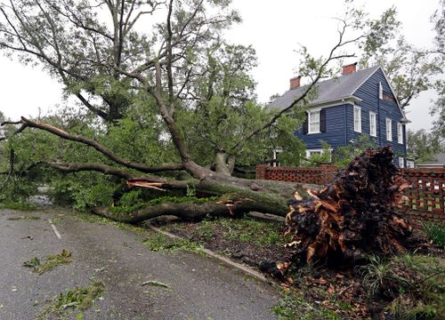 A tree uprooted by strong winds lies across a street in Wilmington, North Carolina.