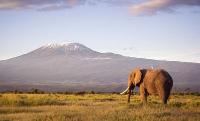 16. Mount Kilimanjaro
