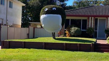 The owners of this property in the NSW Central Coast suburb of Buff Point have gone the extra mile to put smiles on the faces of passersby. They get extra points for their impeccable tree trimming. 