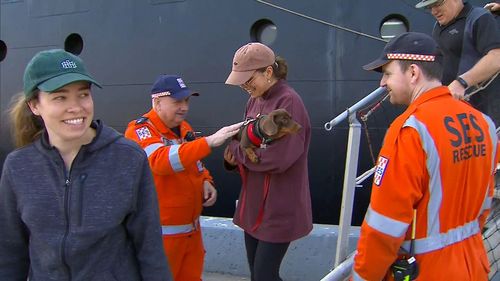 Animals evacuated from the Mallacoota bushfires arrive on board Navy ships at Port Hastings.