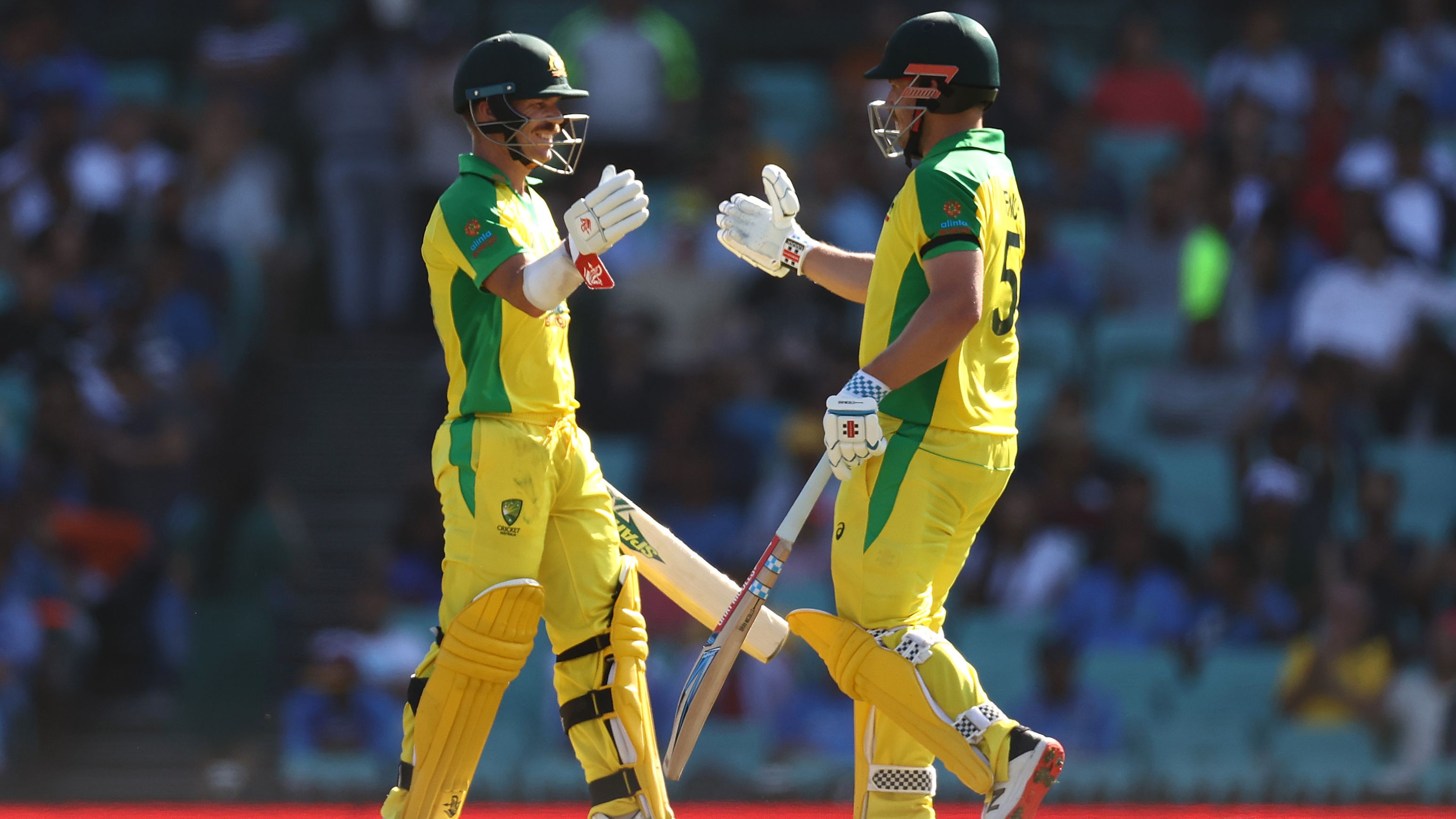 David Warner and Aaron Finch celebrate after reaching their 150 run partnership.