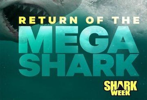 Return Of The Megashark