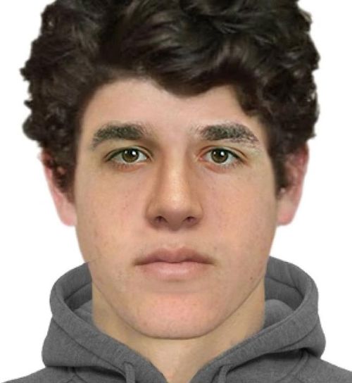A facial composite of the rapist.