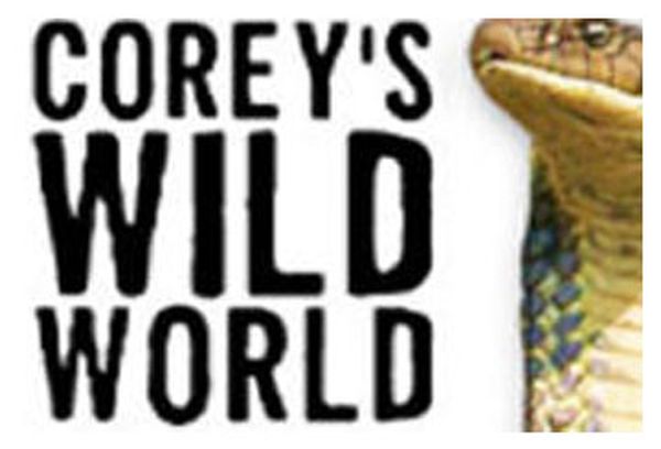 Corey's Wild World