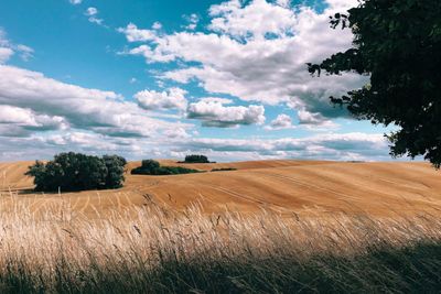 Apple S Shot On Iphone Challenge Showcases Incredible Photography