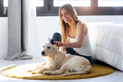 Shot of pretty young woman brushing her dog's hair while sitting on the floor at home.