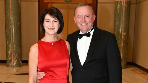 Anthony Albanese has announced he and his wife Carmel Tebbutt have separated.