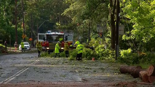 SES Crews are busy across the city.