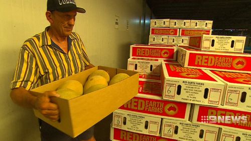 Fruit grown in South Australia is disease-free. (9NEWS)