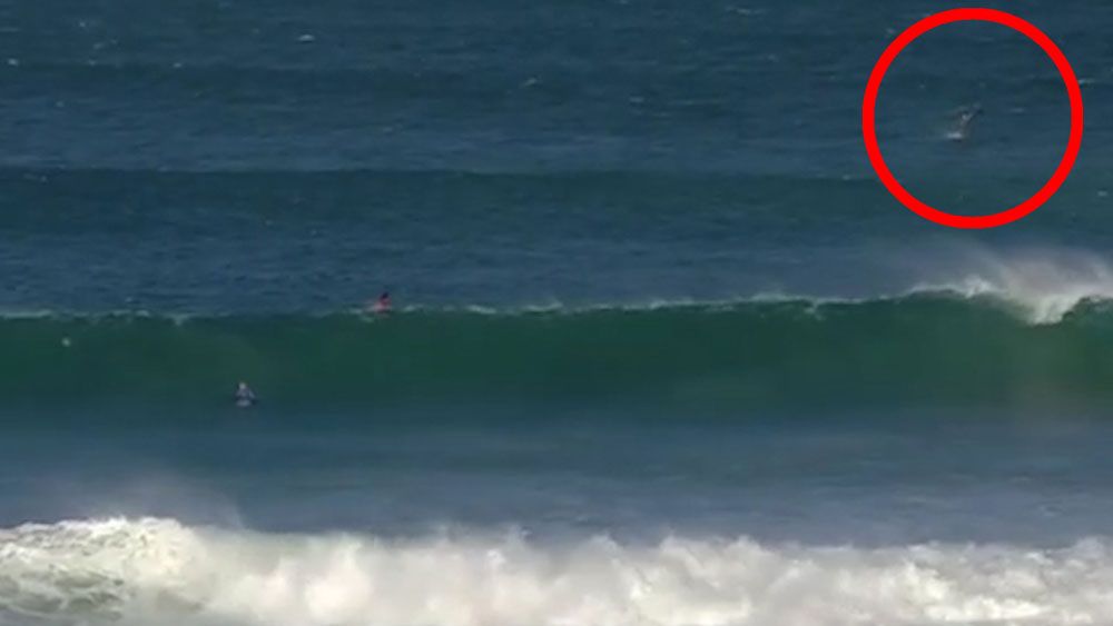 Wilkinson leads Aussie J-Bay surf assault