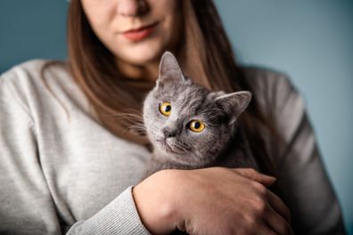grey cat and its owner on a blue background.