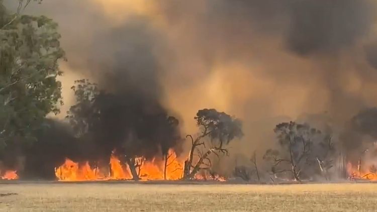 Victoria Bushfires:Residents Evacuate As Bushfire Continues To Burn ...