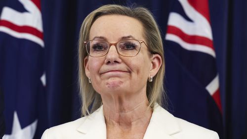 Muhalefet lideri Sussan Ley, 13 Kasım 2025'te Canberra'daki Parlamento Binası'nda düzenlenen basın toplantısında.