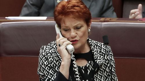 Pauline Hanson has been pushing for an inquiry into the dairy industry.