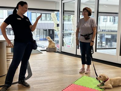 Guide Dog puppy training session