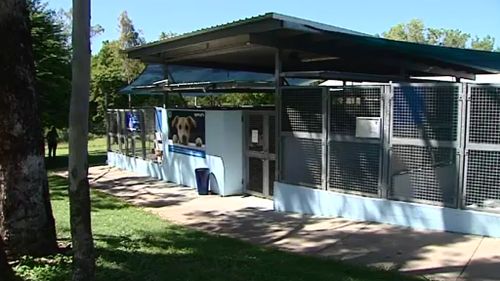 The RSPCA Townsville shelter is bordered by the council pound. (9NEWS)