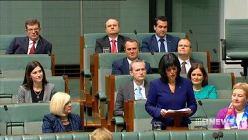 Victorian MP embroiled in citizenship saga