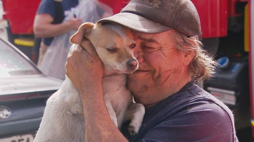 Firefighters revive dog after house fire in Adelaide.