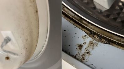 Mouldy front loader washing machine door and seal