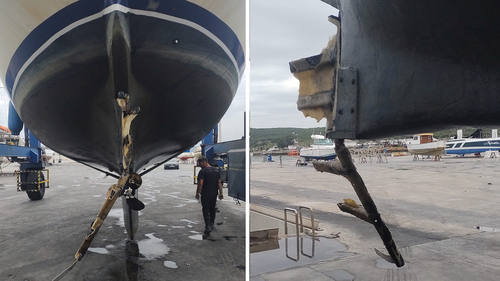 Lima estimates the orcas caused nearly AU$10,000 in damage to his boat. 