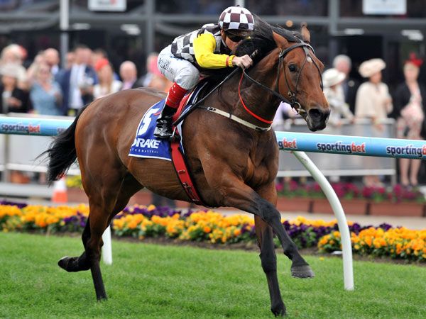 Craig Williams rides Precedence to victory in the Drake International Cup at Moonee Valley. (AAP)