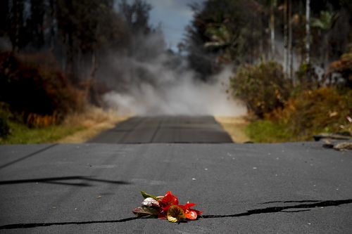 Flowers are placed on the road as an attribute to the Hawaiian volcano goddess Pele in the Leilani Estates subdivision near Pahoa. (AAP)
