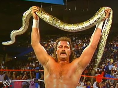 Jake The Snake Roberts WWE Hall of Famer