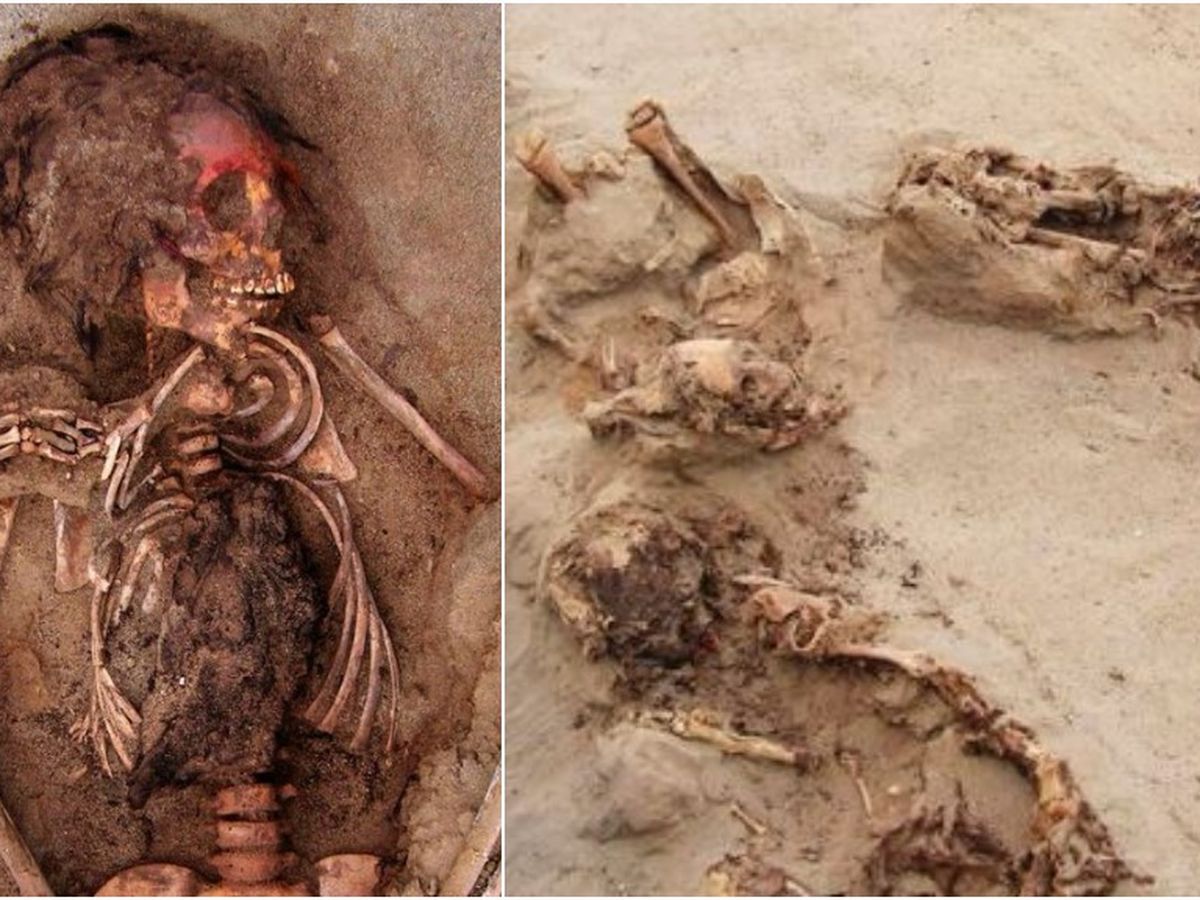 Exclusive: Ancient Mass Child Sacrifice in Peru May Be World's Largest