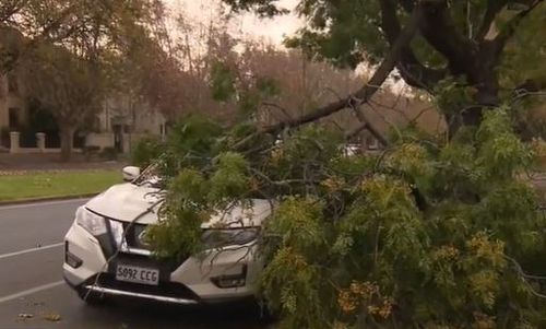 Adelaide dust storm polar blast