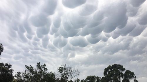 Sydney hail storm clouds