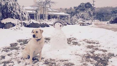 Heavy snow falls in Queensland and NSW (Gallery)