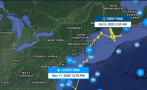 Nakumi's tracker data reveals that he has begun heading south.