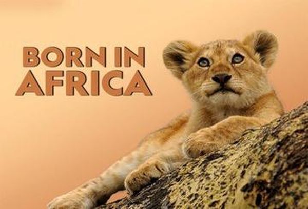 Born In Africa