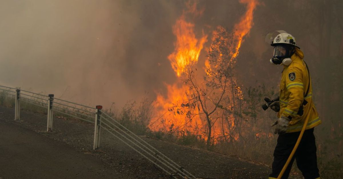 Bushfire forecast Australia: Why the weather in Antarctica could lead ...