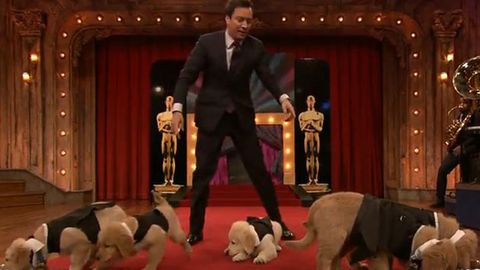 jimmy fallon