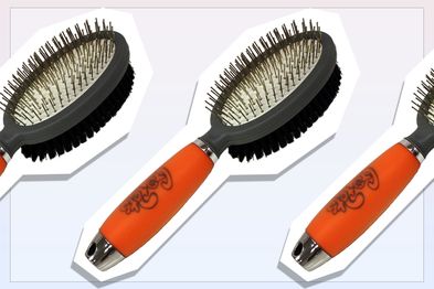 9PR: GoPets Professional Double Sided Pin and Bristle Brush
