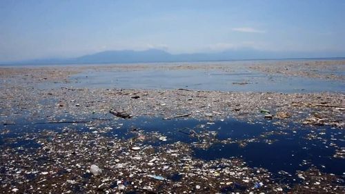 Plastic in the oceans is having a toxic effect on sea life.